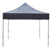 Printing Canopy Tent with Oxford Fabric PVC Coating Aluminum Frame