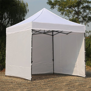 10x10ft Pop Up Canopy Tent Commercial Instant Shelter with Roller Bag