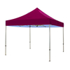 10x10ft Custom Printed Canopy Tent with Aluminum Frame And Steel Frame