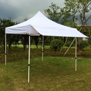 10x10ft Pop Up Folding Tent Canopy Tent With Awning Flap