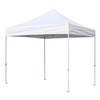 10x10ft Pop Up Canopy Tent Commercial Instant Shelter with Roller Bag