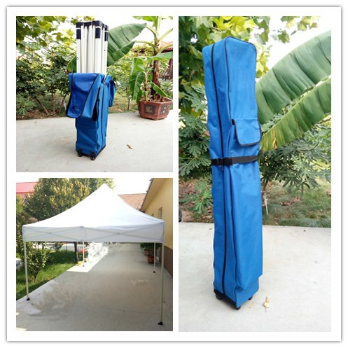 10x10ft Pop Up Canopy Tent Commercial Instant Shelter with Roller Bag