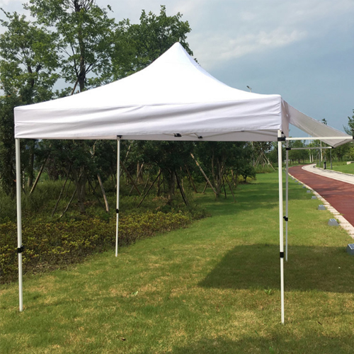 10x10ft Pop Up Folding Tent Canopy Tent With Awning Flap